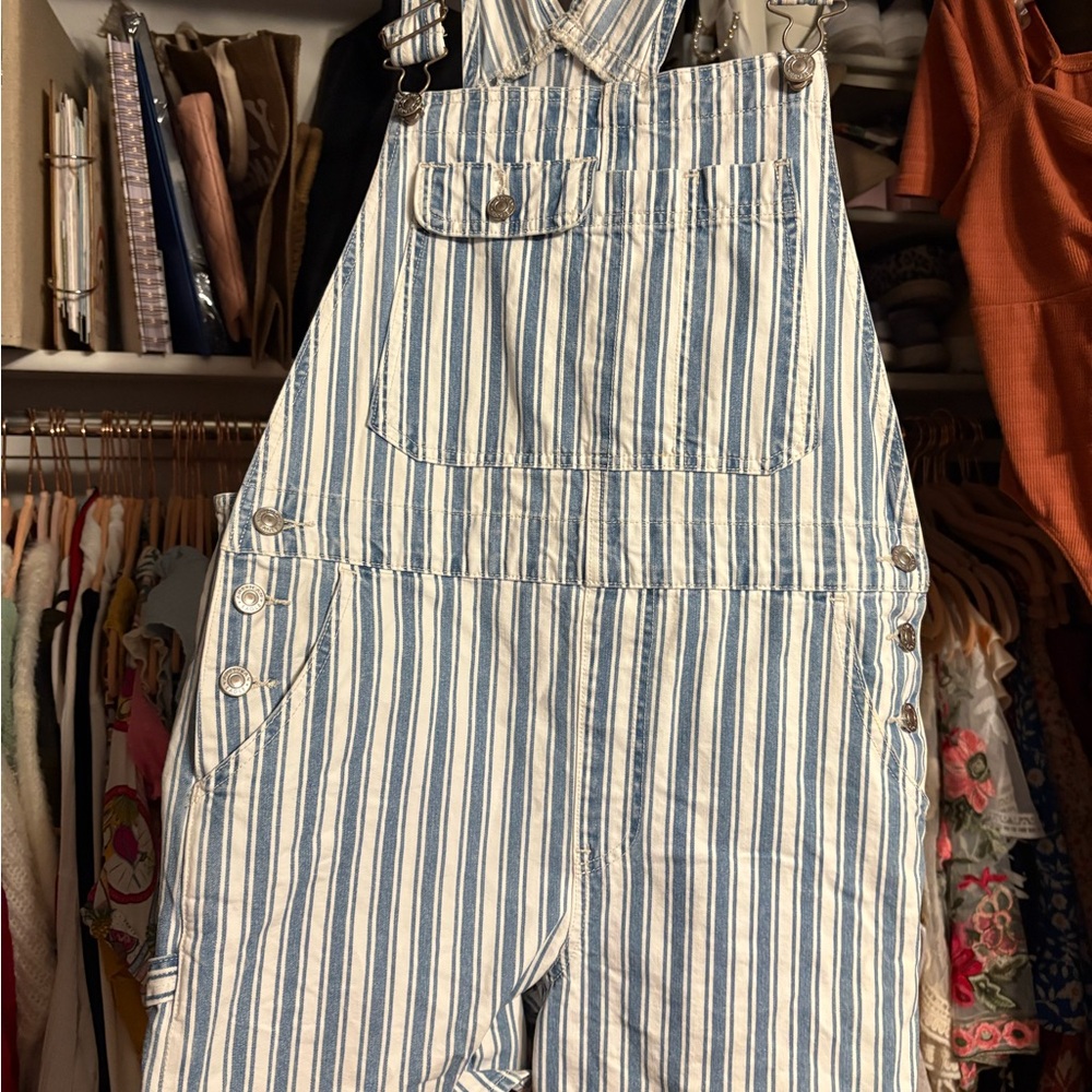 American Eagle Outfitters Blue and White Striped Overalls